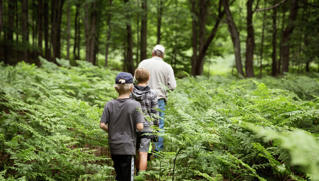 forest hike boys father