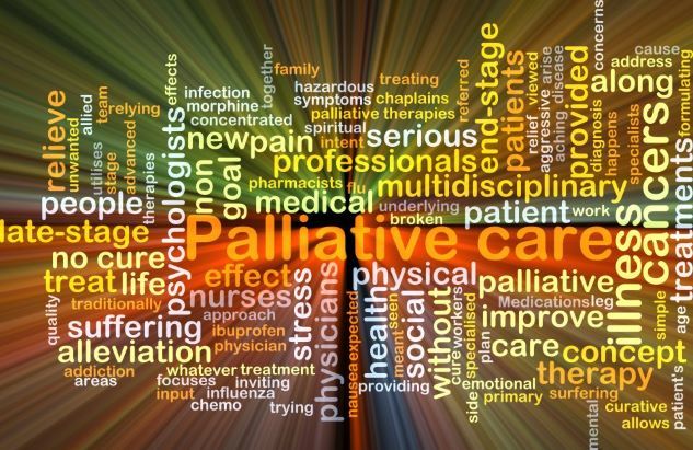 How Innovations in Palliative Care are Changing Lives